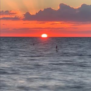 Meet your Posher, Louise